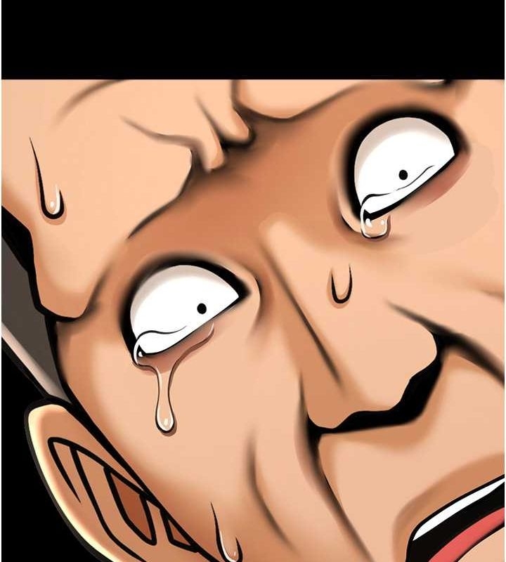 第13张