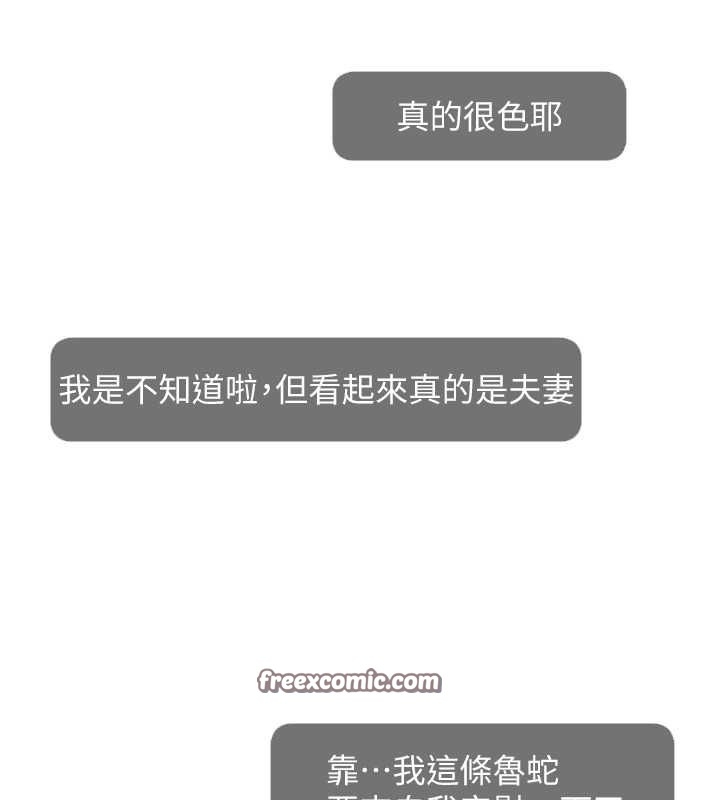 第43张