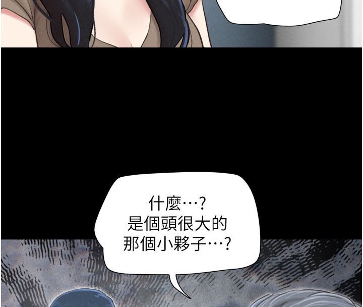 第141张