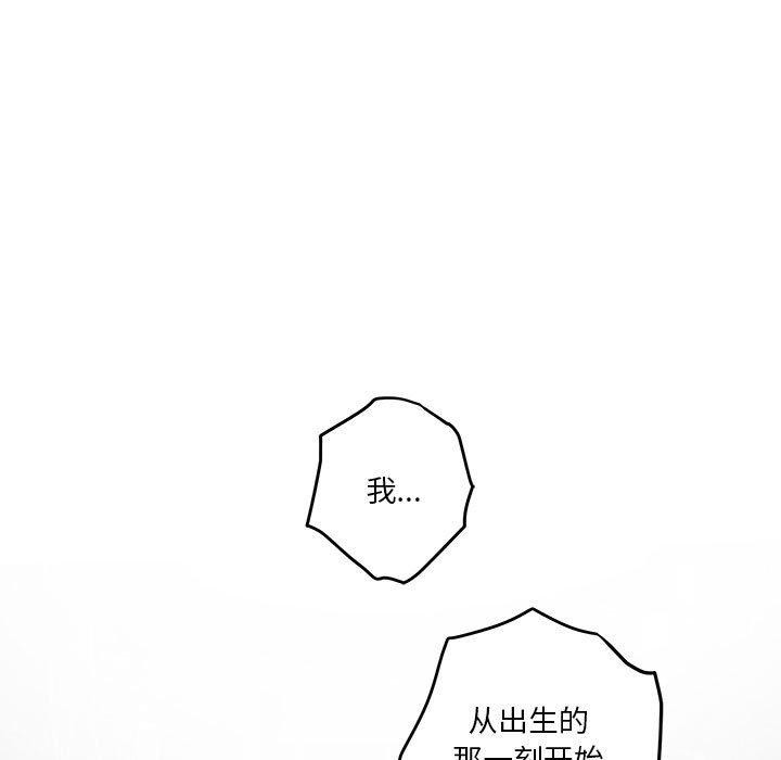 第3张
