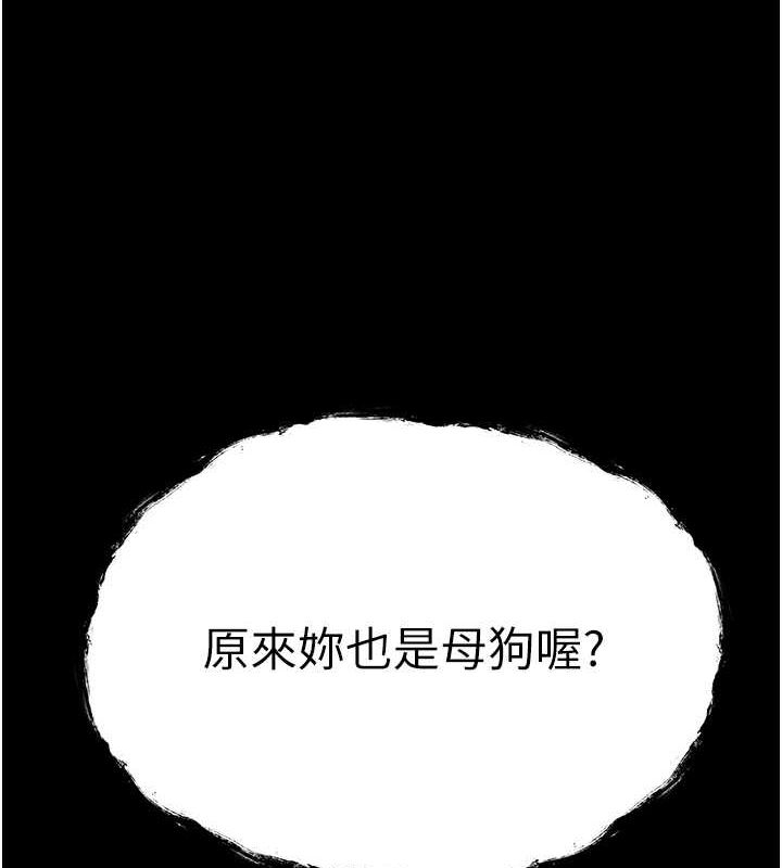 第14张