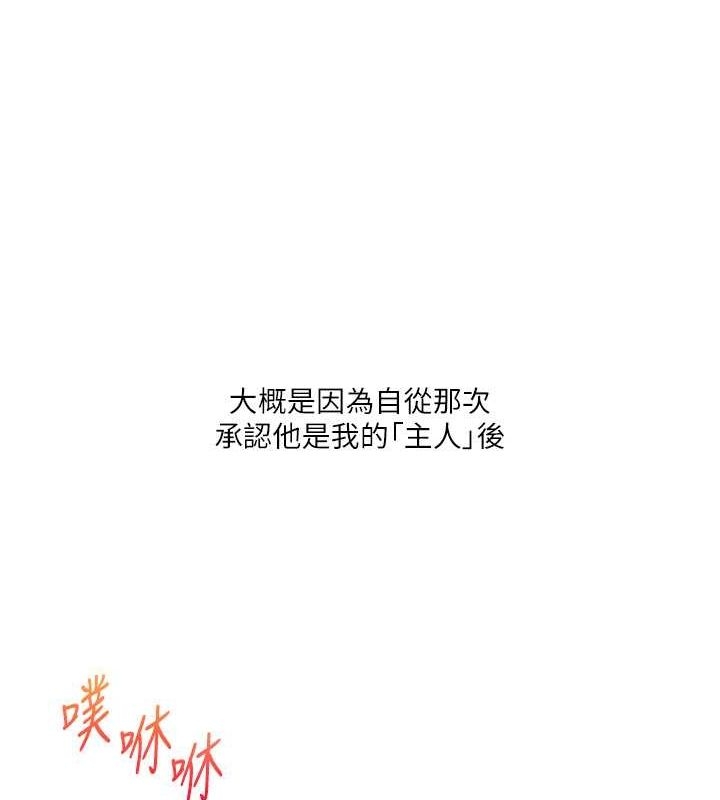 第60张