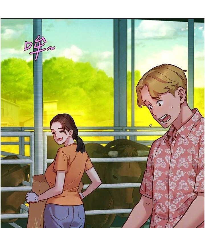 第91张