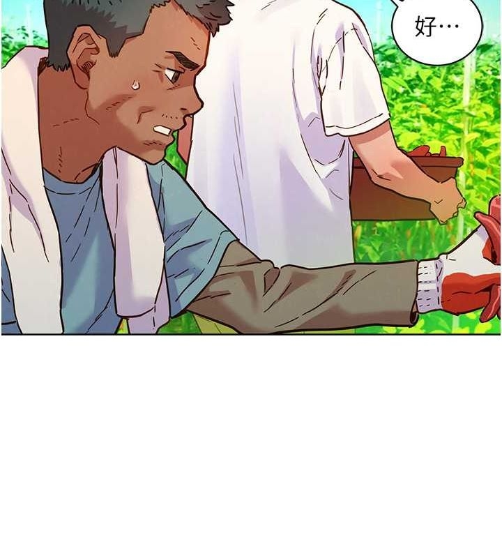 第100张