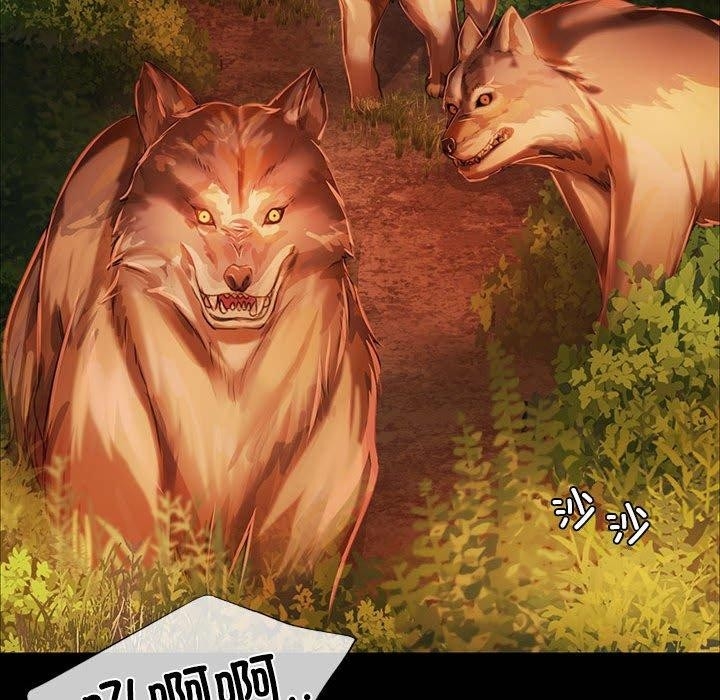 第74张