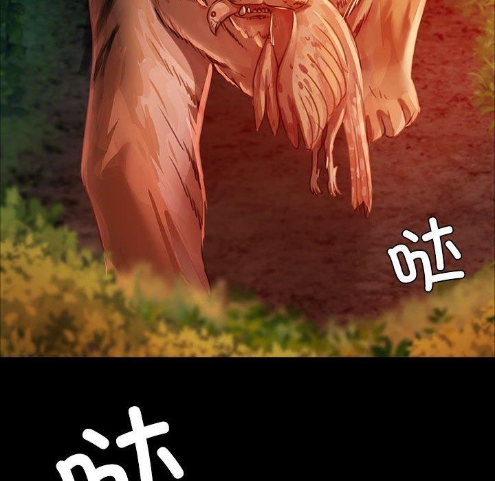 第117张