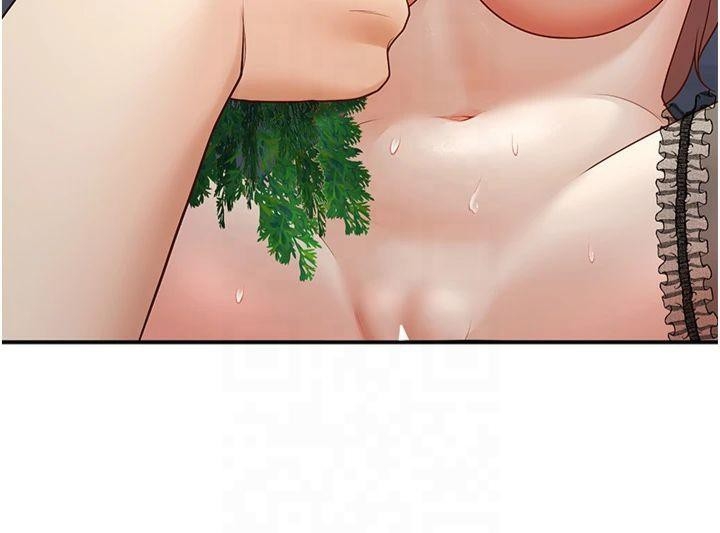 第17张