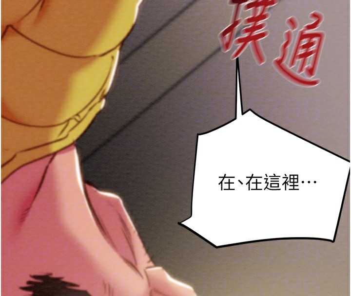 第123张