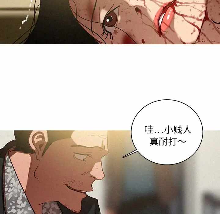 第41张
