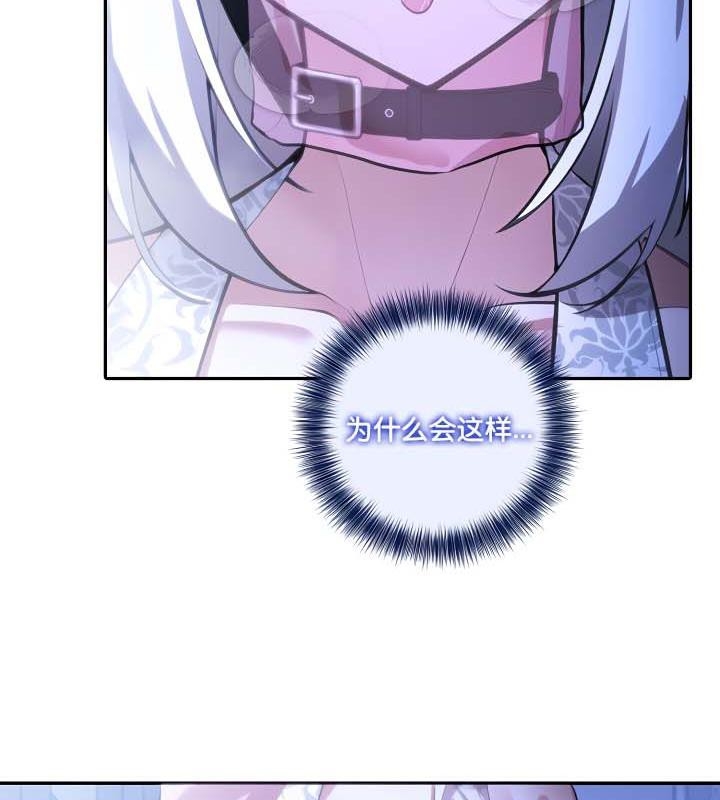 第17张