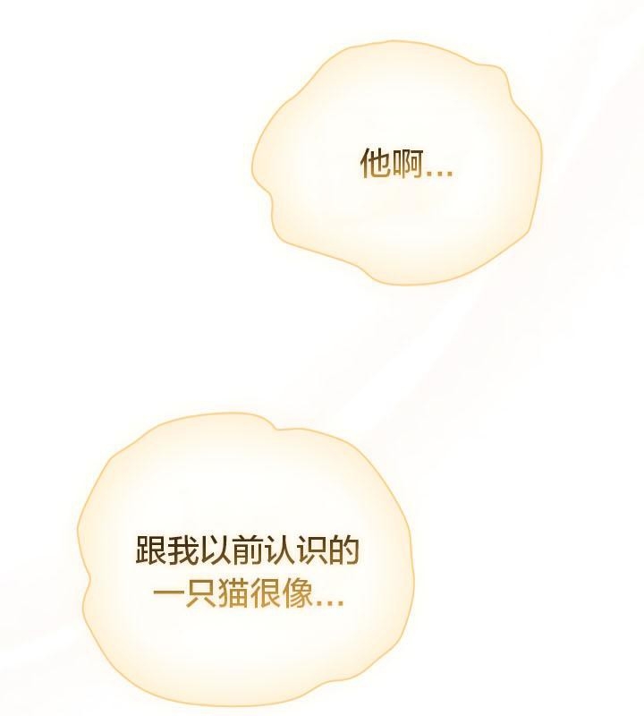 第182张