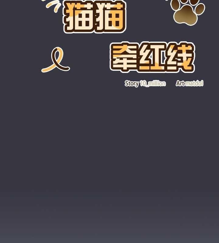 第55张