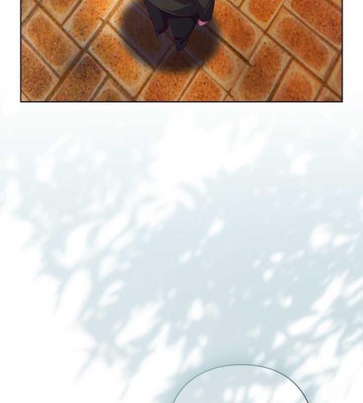 第146张