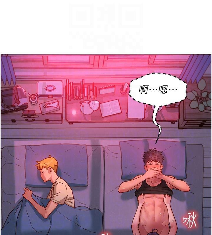 第12张