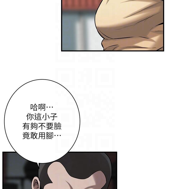 第24张