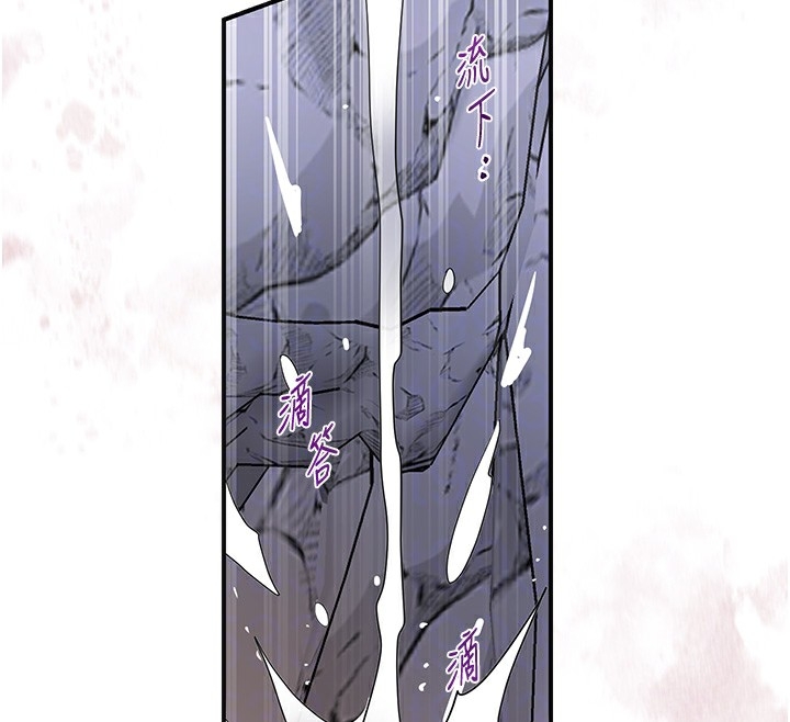 第48张