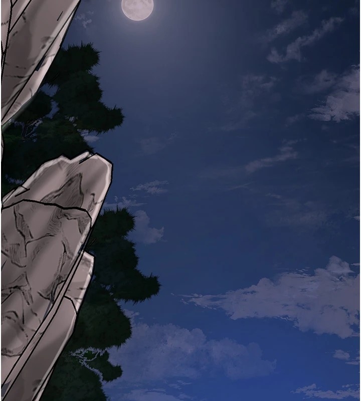 第111张