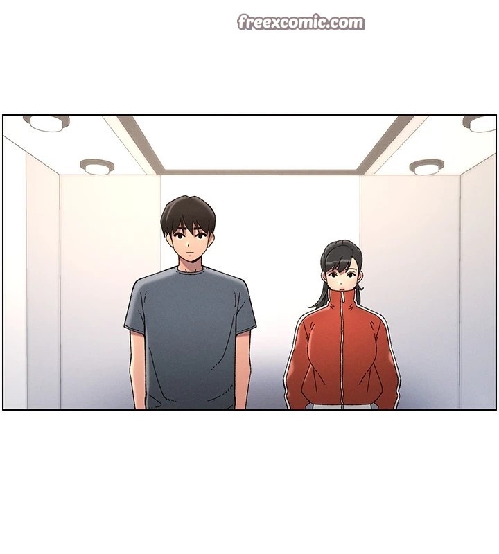 第31张