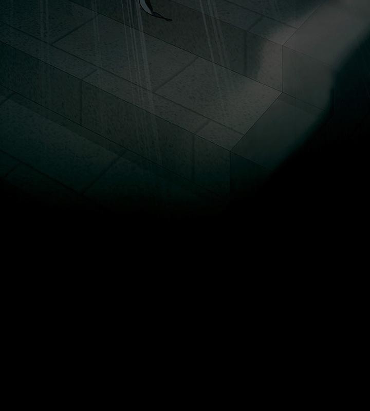 第48张