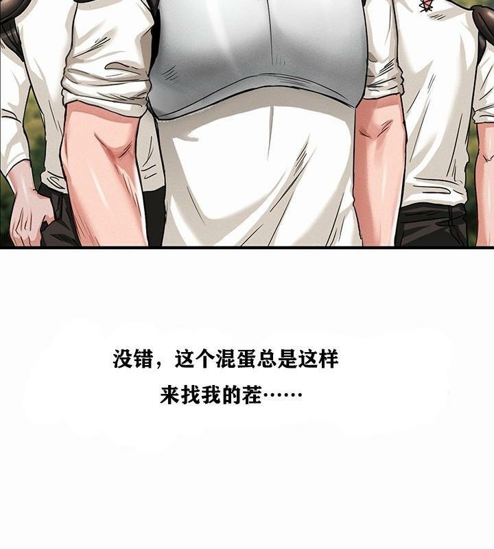 第236张