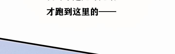 第5张