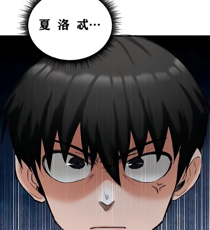 第116张