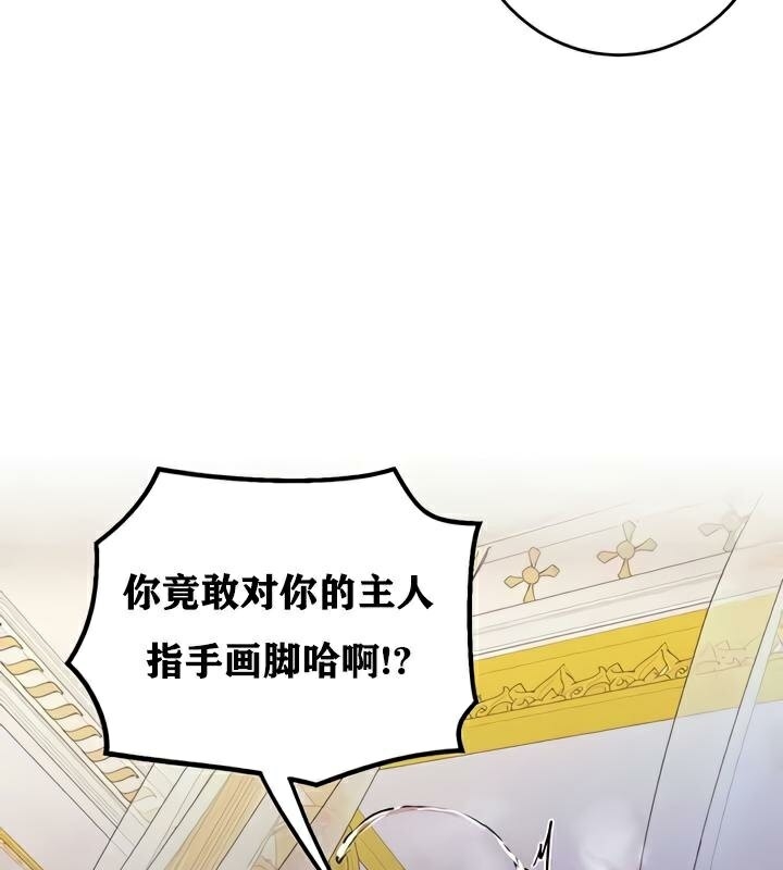 第36张