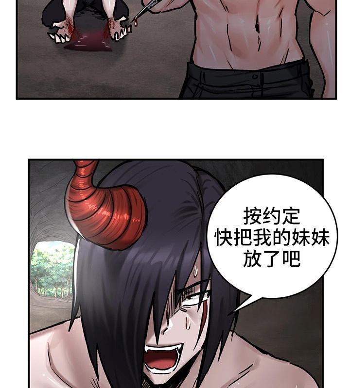 第66张