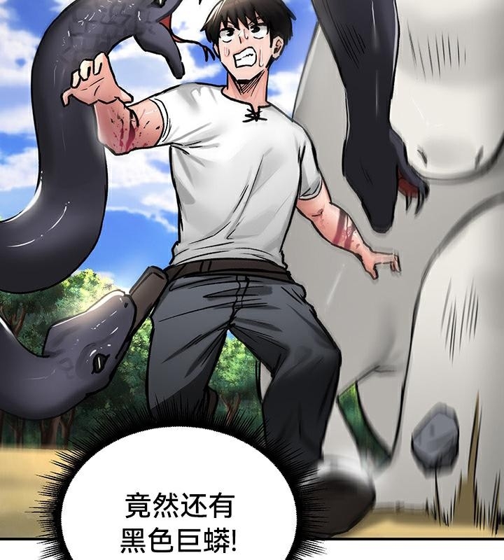 第41张
