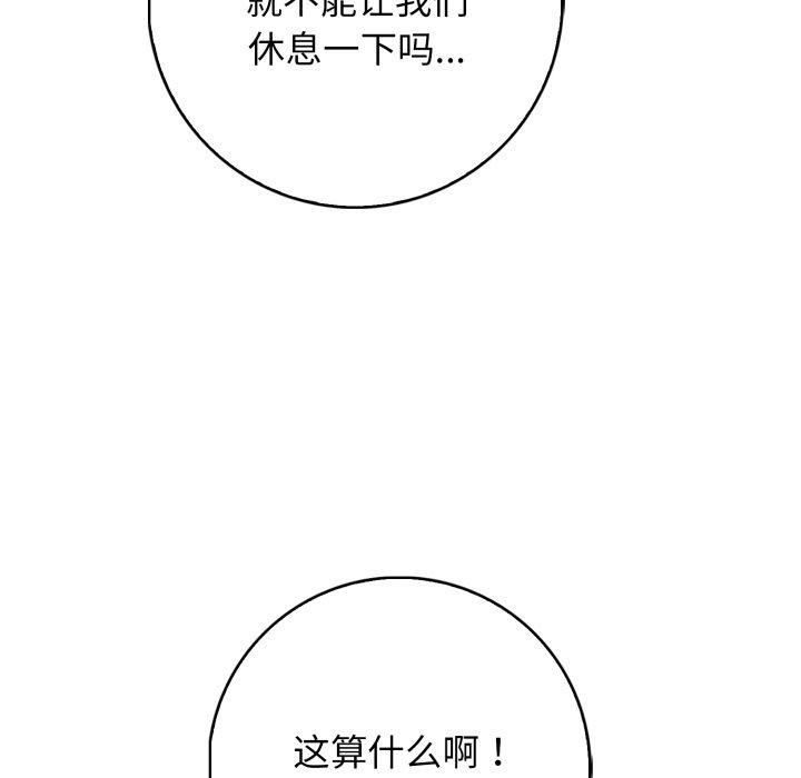 第11张
