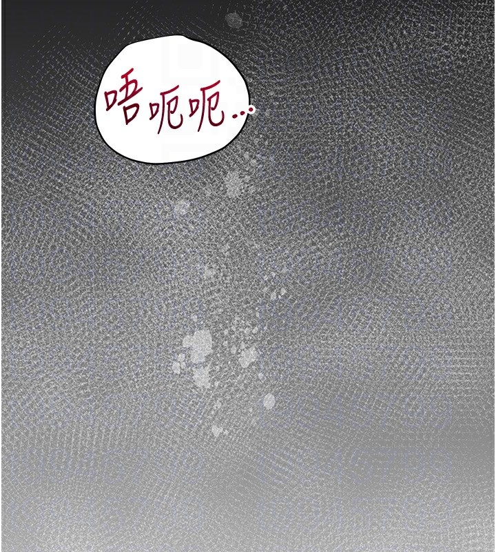 第81张