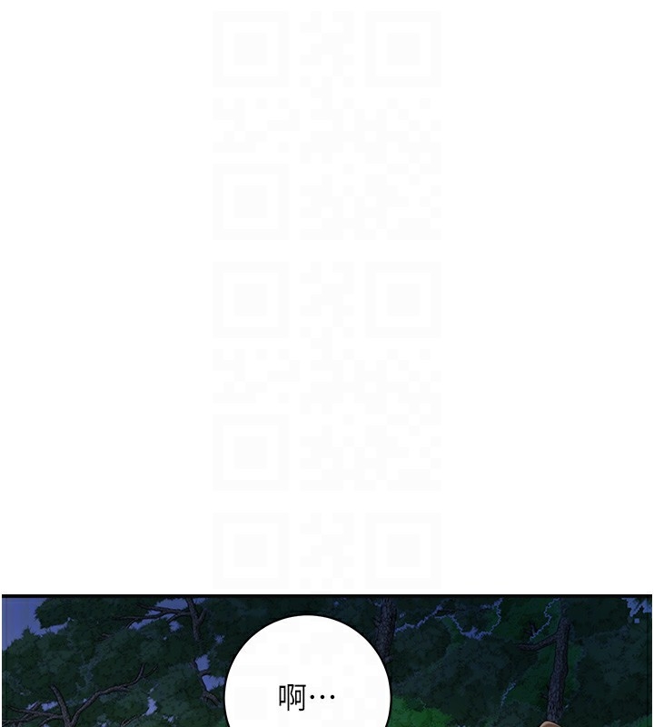 第96张