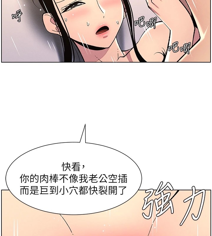 第24张