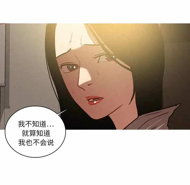 第53张