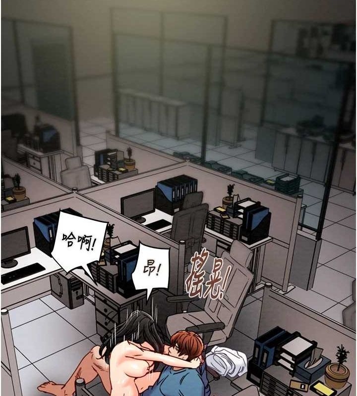 第23张