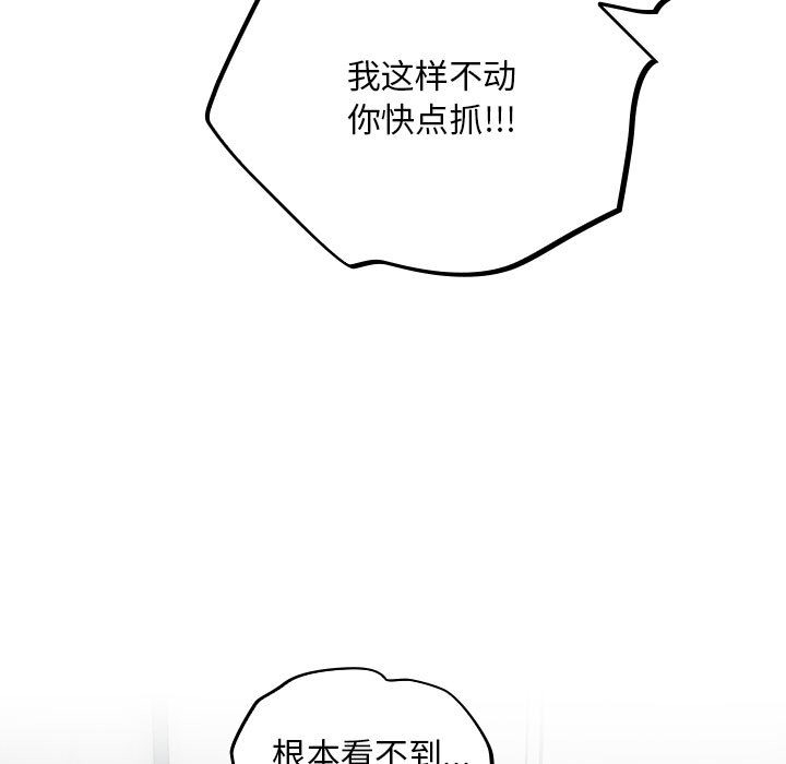 第157张