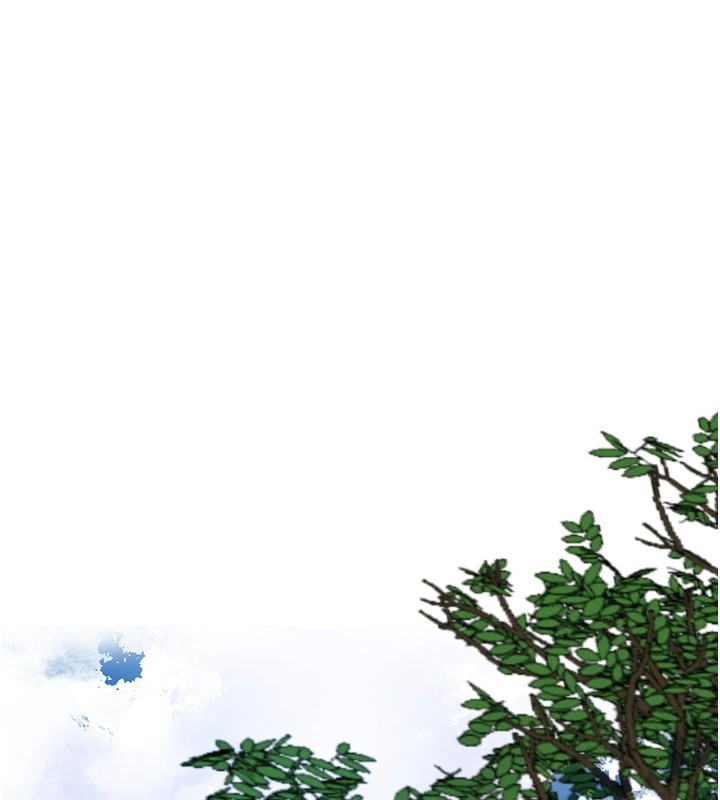 第48张