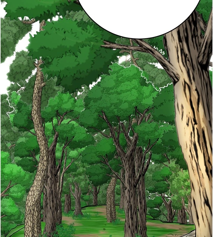 第117张