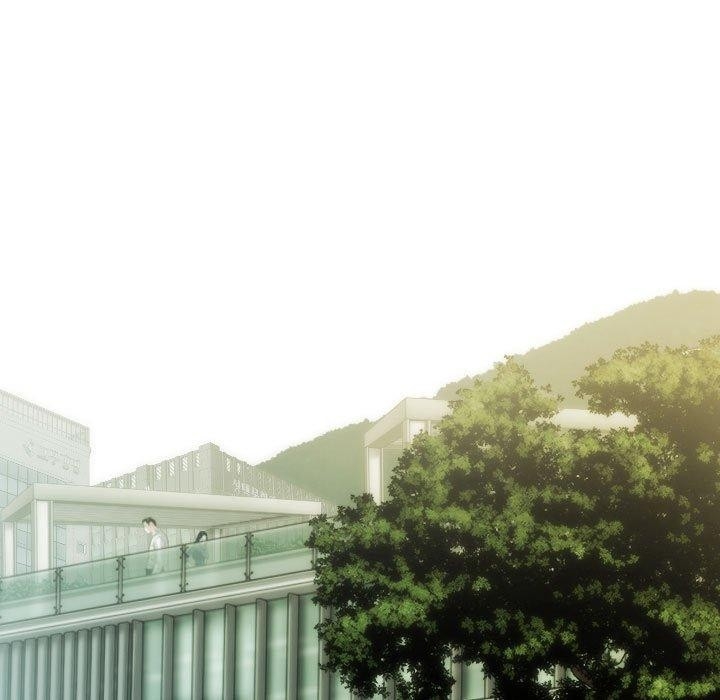 第33张