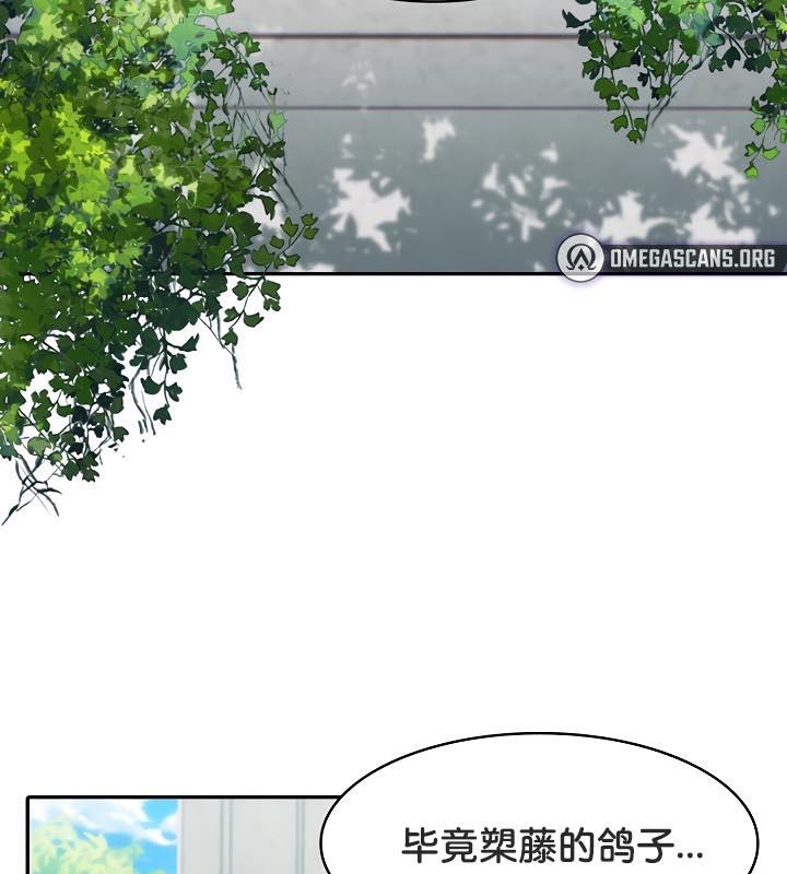 第88张