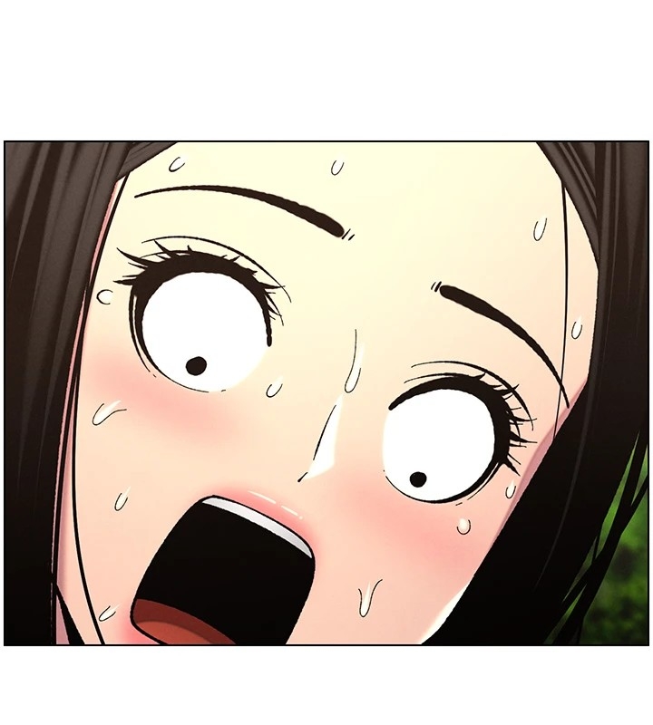 第73张