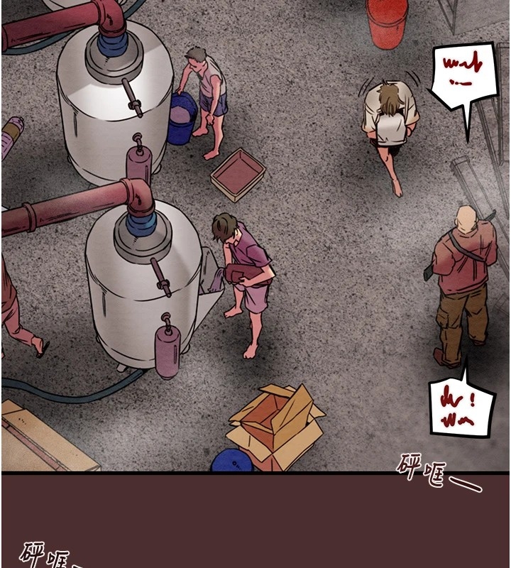 第175张
