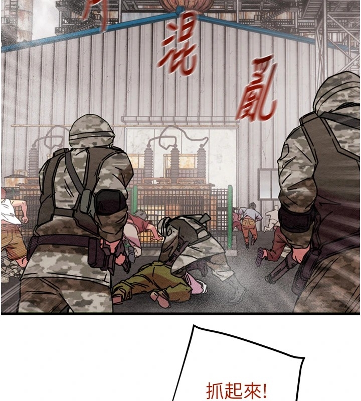 第77张
