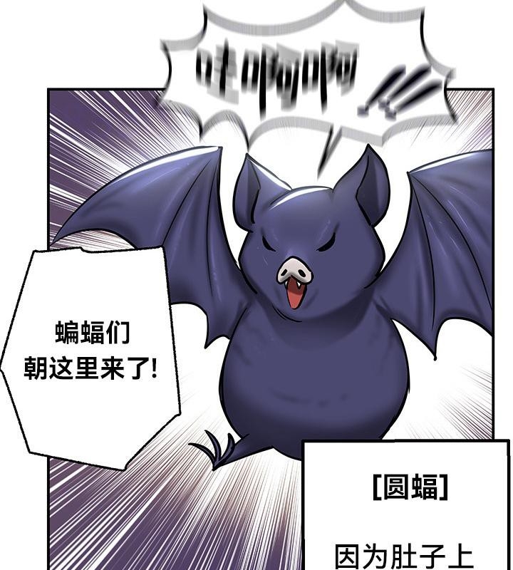 第44张
