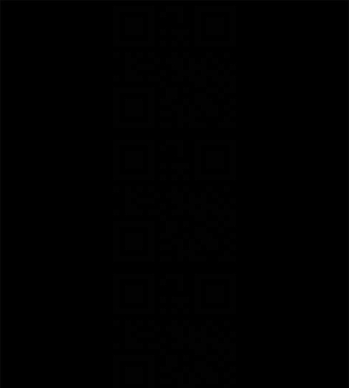 第110张