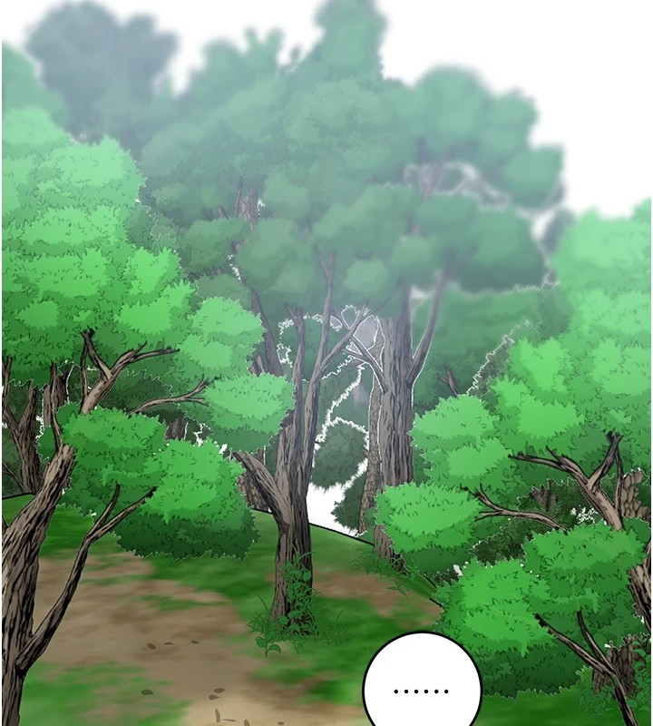 第75张