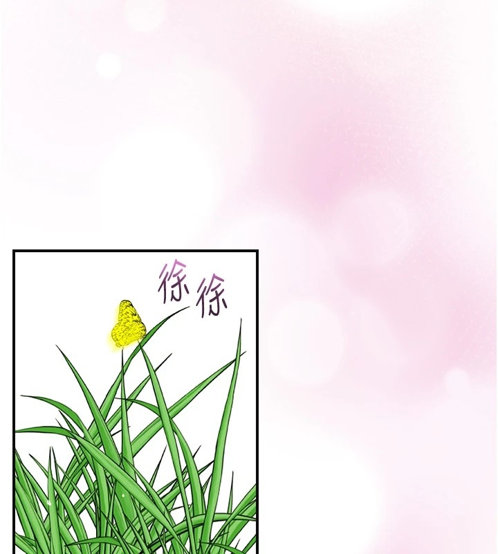 第91张