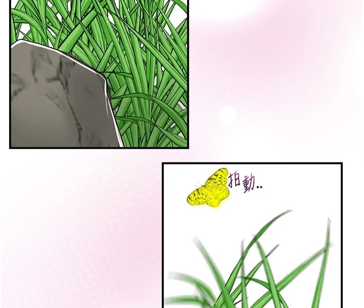 第93张