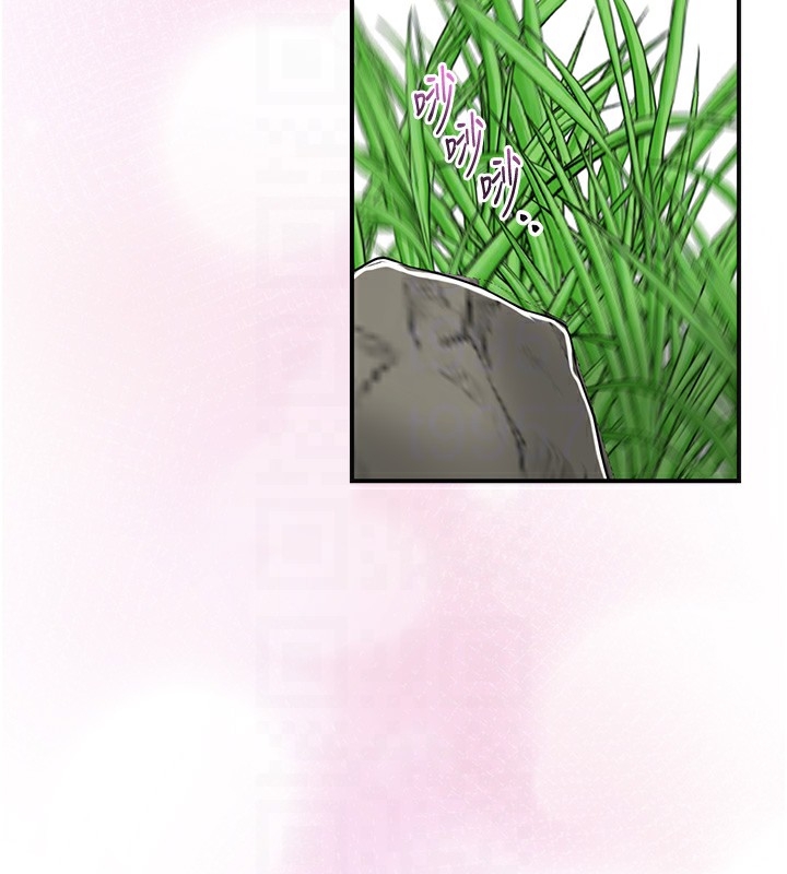 第96张