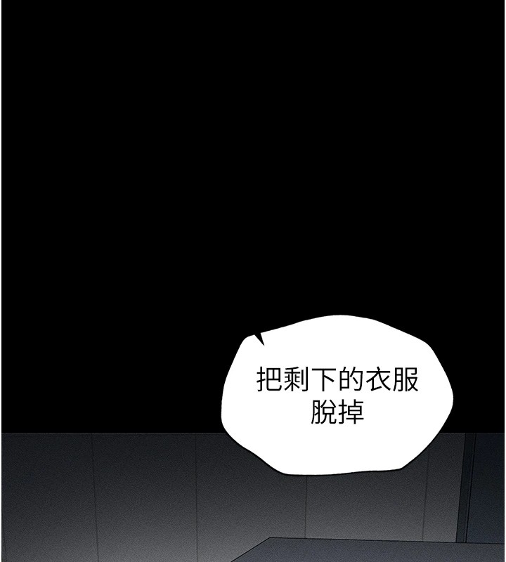 第223张